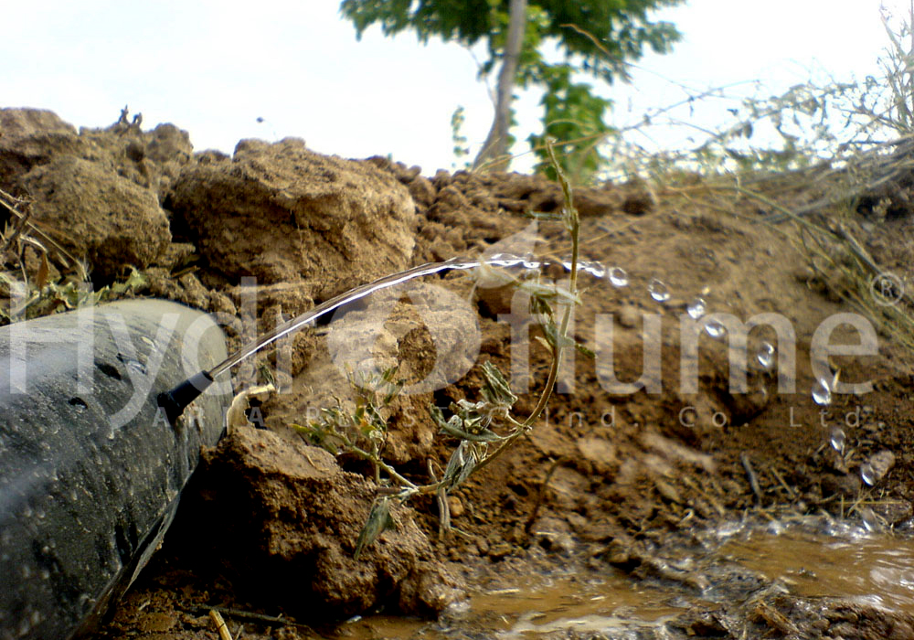 Point Irrigation for Gardens and Trees