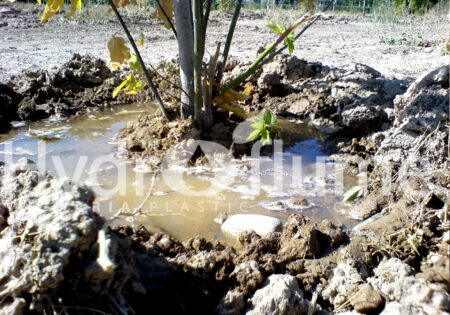 Spot irrigation for gardens and trees