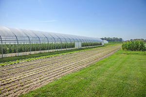 Irrigation4